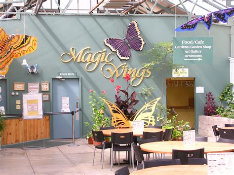 Magical wings butterfly exhibit